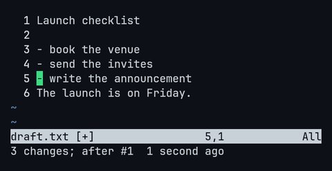 You Deleted It. Vim Still Has It.